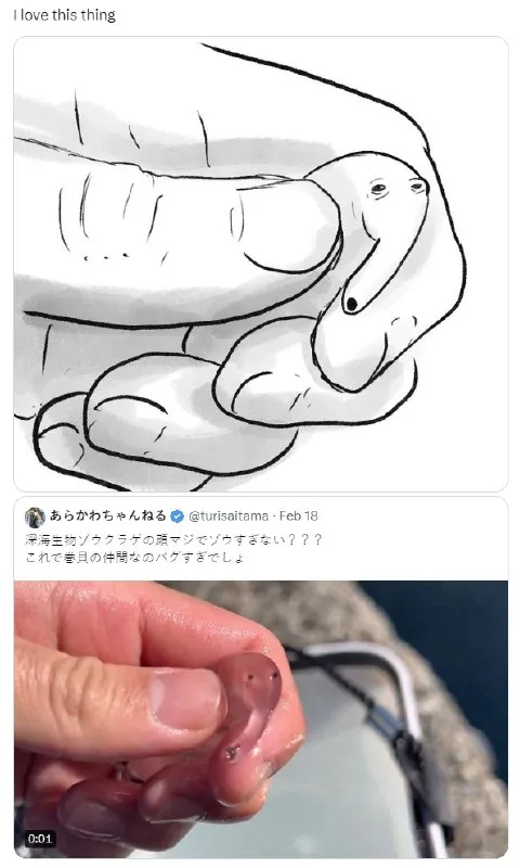 ゾウみたいな深海生物