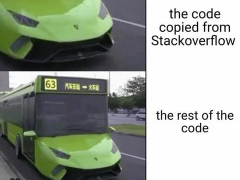 Stack Overflow Code Bus