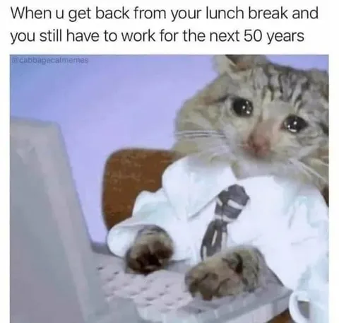 Back From Lunch, Still Working