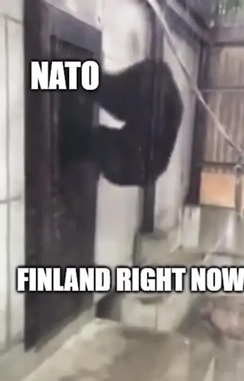 NATO Finland Right Now