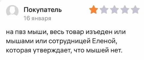 Мыши съели весь товар
