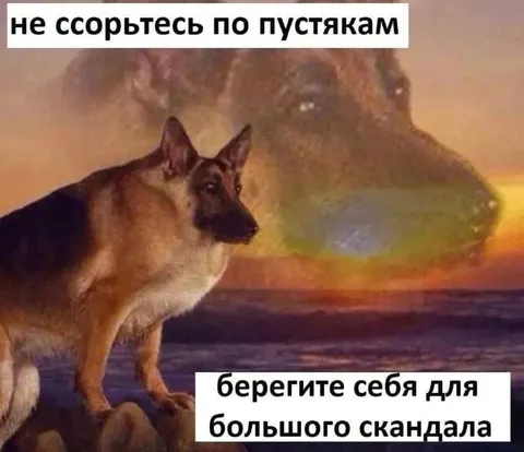 Берегите себя для большого скандала