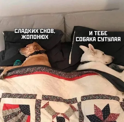 Сладких снов, жопоннох