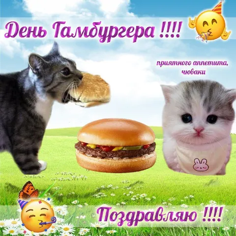 День гамбургера с котятами