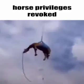 Horse Privileges Revoked