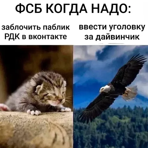 ФСБ умеет блокировать и возбуждать дела