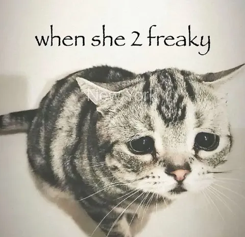When She Z Freaky Cat