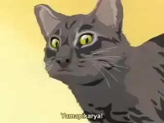 When the Cat Gets Big