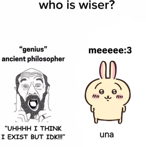 Who Is Wiser? Philosopher or Bunny