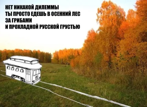 Осенний лес за грибами и грустью