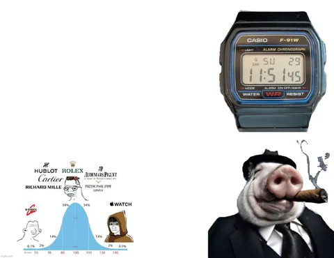 Богатые часы против Casio