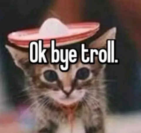 Cat Says Bye to Troll