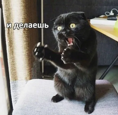 И делаешь вот так