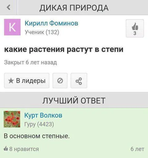 В основном степные