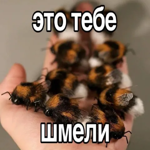 Это тебе шмели