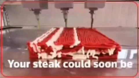 You Wouldn't Download a Steak