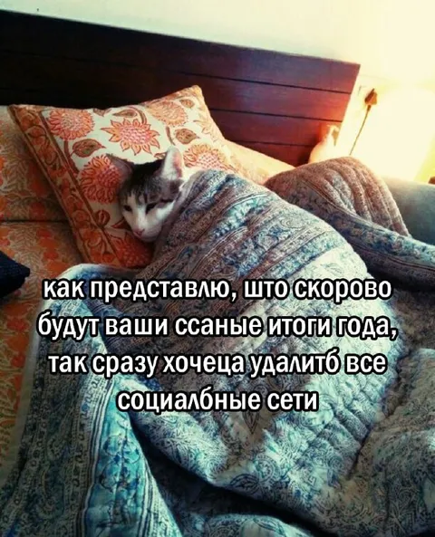 Кот не хочет видеть итоги года