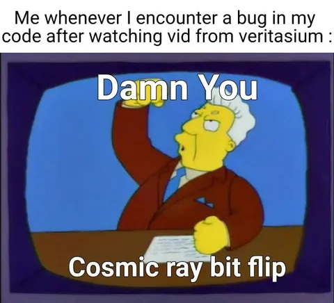 Damn You Cosmic Ray Bit Flip