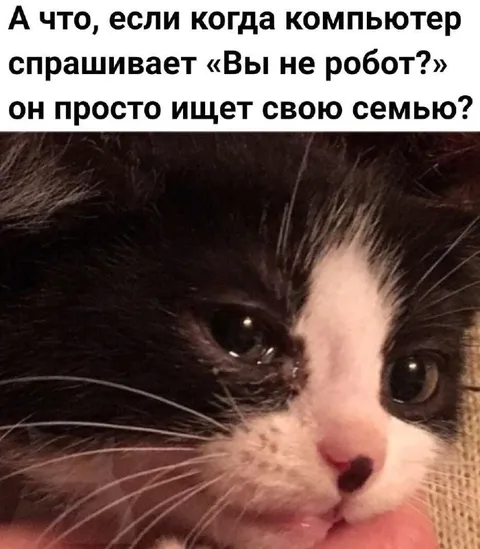 Компьютер ищет семью