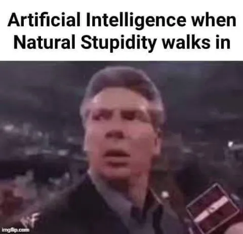 Artificial Intelligence Meets Natural Stupidity
