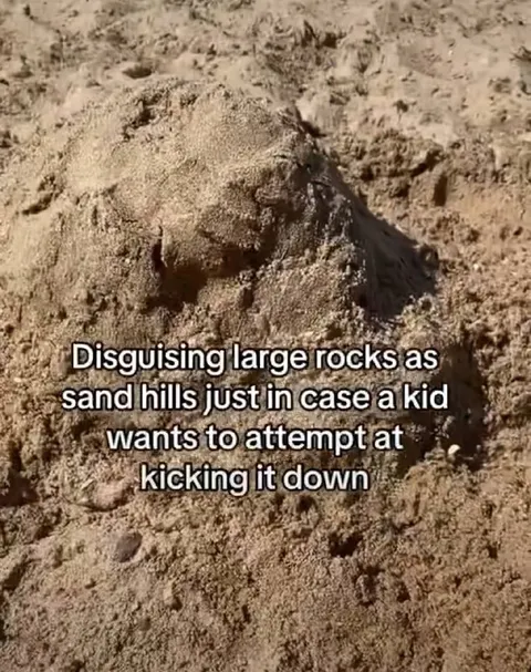 Large Rock Disguised as Sand Hill