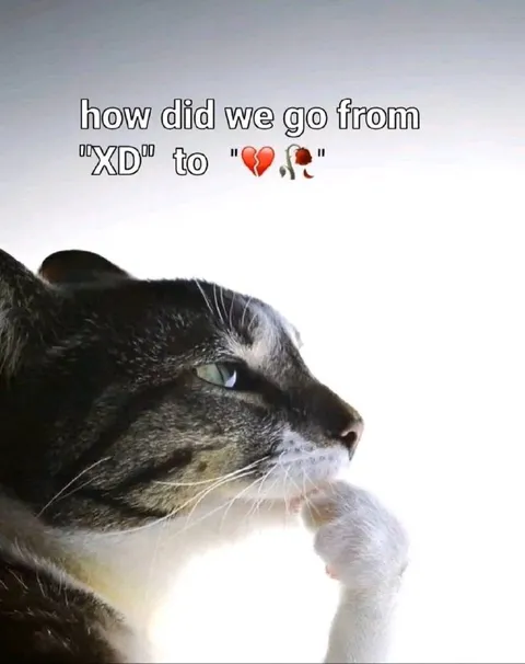 From XD to heartbreak
