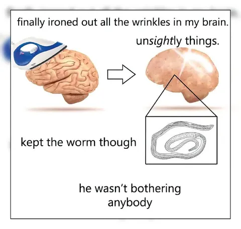 Ironed Out Brain Wrinkles