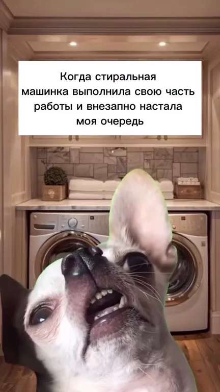 Когда стирка внезапно стала моей очередью
