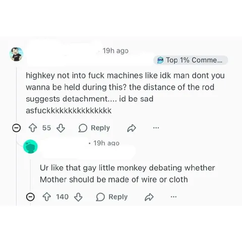 Wire or Cloth Mother Debate