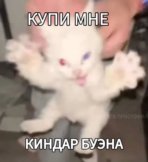 Купи мне киндар буэна
