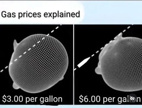 Gas Prices Explained