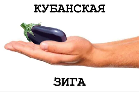 Кубанская зига с баклажаном