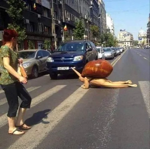 Гигантская улитка на переходе