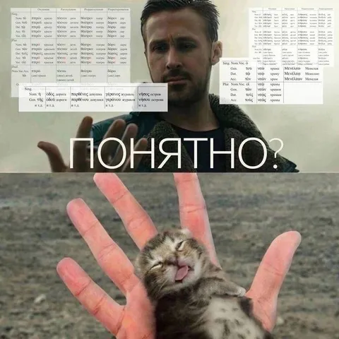 Понятно? Котёнок в замешательстве