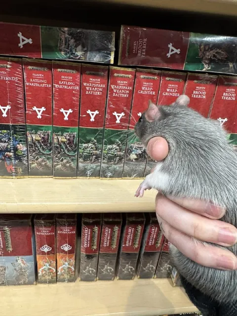 Rat in the Skaven Army Bookcase