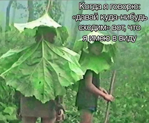 Вот что я имею в виду