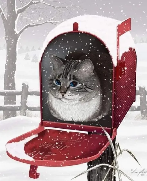 Кот в почтовом ящике