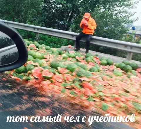Тот самый чел с учебников