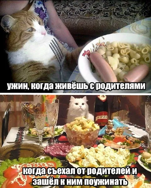 Ужин у родителей после еды
