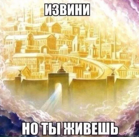 Извини, но ты живёшь