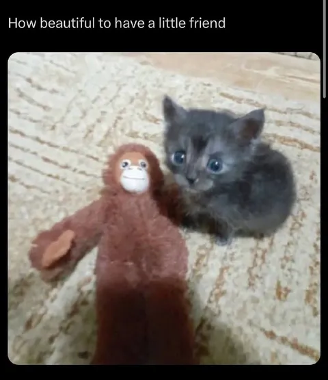 Kitten and Little Friend
