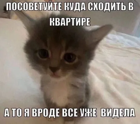 Котёнок уже всё видела