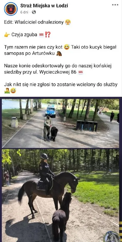 Kucyk wcielony do służby