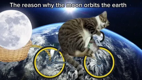 Cat Pulls the Moon Around Earth