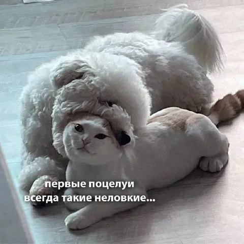 Первые поцелуи неловкие