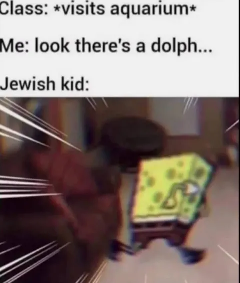 Jewish Kid Hears Dolphin