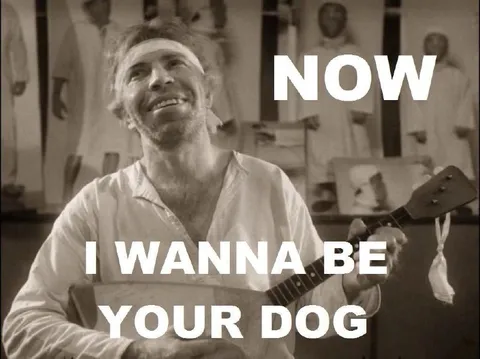 Now I Wanna Be Your Dog