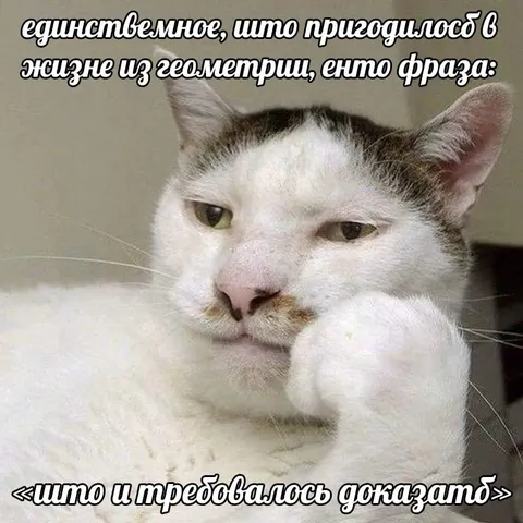 Что и требовалось доказать