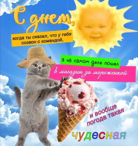 Созвон с командой отменяется