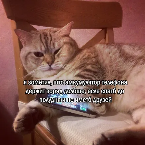 Аккумулятор и отсутствие друзей